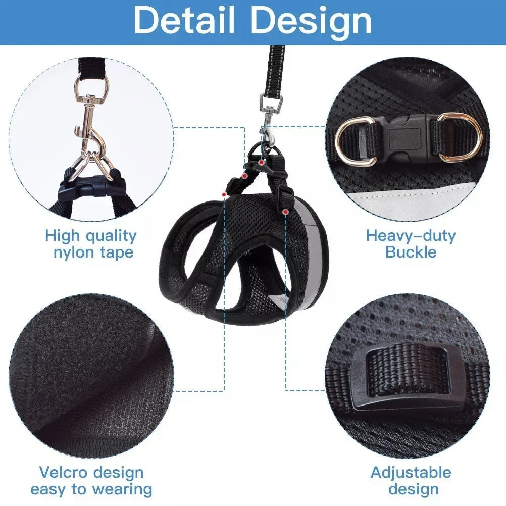 SoftHug™ Comfort Cat Harness & Leash – UK