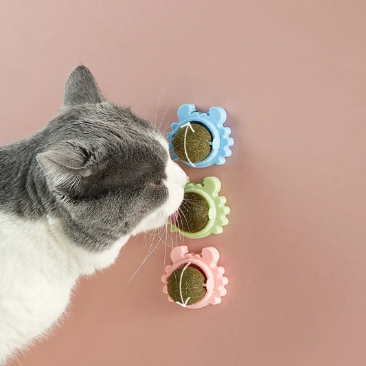 Catnip Ball Toy – Interactive Play for Happy, Relaxed Cats