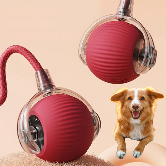 Interactive Dog Ball – Fun, Fitness & Stress Relief